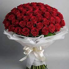Букет 101 Красная роза Блэк Мэджик в Долгое Ледово
