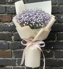 Букет цветов из:  Гипсофила в Долгое Ледово