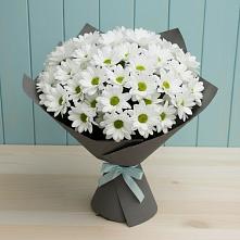 Букет цветов из:  Хризантемы #REPLACE_PRED# Долгое Ледово