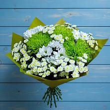 Букет цветов из:  Хризантемы #REPLACE_PRED# Долгое Ледово