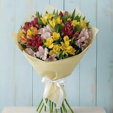 Букет цветов из:  Альстромерии в Долгое Ледово