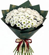 Букет цветов из:  Хризантемы в Долгое Ледово
