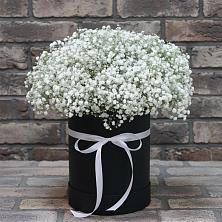Цветочная композиция из Гипсофила в шляпной коробке в Долгое Ледово