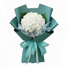 Букет цветов из:  Гортензия #REPLACE_PRED# Долгое Ледово